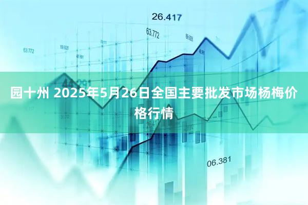 园十州 2025年5月26日全国主要批发市场杨梅价格行情