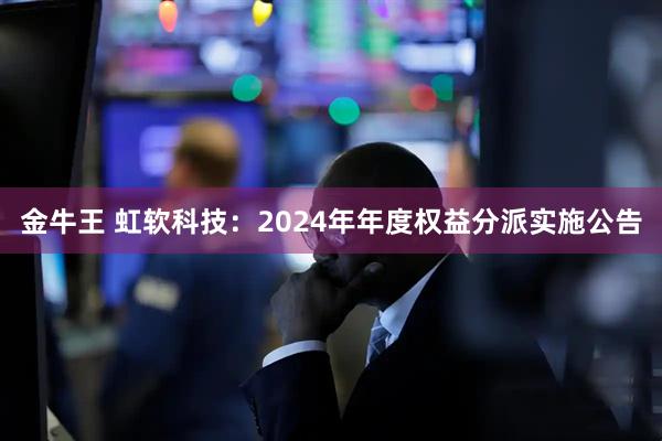 金牛王 虹软科技：2024年年度权益分派实施公告