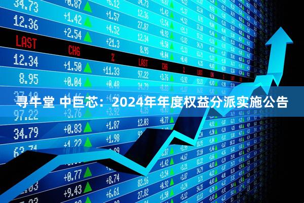 寻牛堂 中巨芯：2024年年度权益分派实施公告