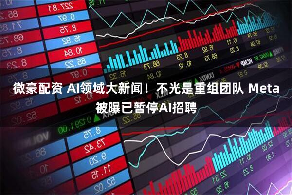 微豪配资 AI领域大新闻！不光是重组团队 Meta被曝已暂停AI招聘