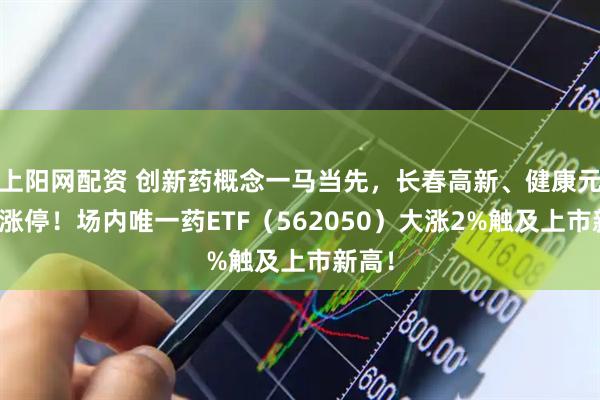 上阳网配资 创新药概念一马当先，长春高新、健康元双双涨停！场内唯一药ETF（562050）大涨2%触及上市新高！